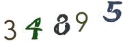 Obrázková CAPTCHA