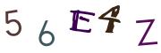 Obrázková CAPTCHA