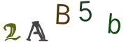 Obrázková CAPTCHA